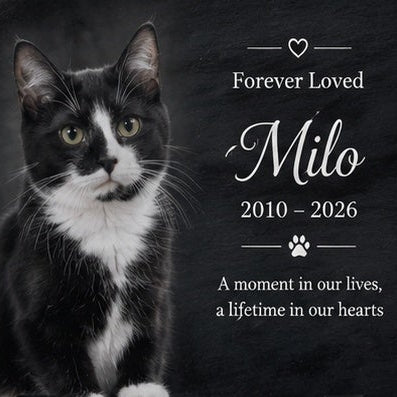 Personalised Cat Memorial Photo Slate | Custom Cat Remembrance Gift
